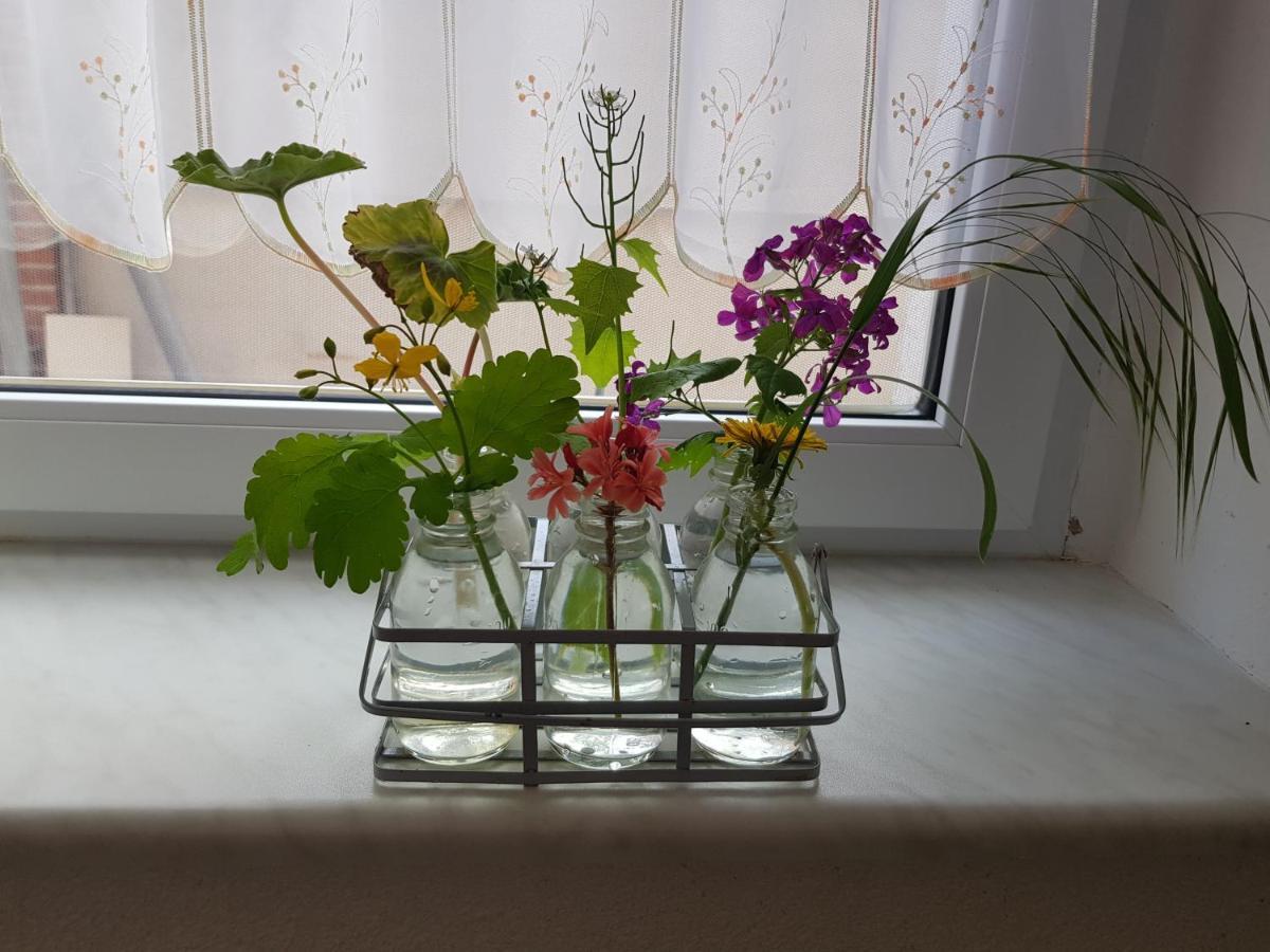 Ferienwohnung Burgenblick Thale Zewnętrze zdjęcie